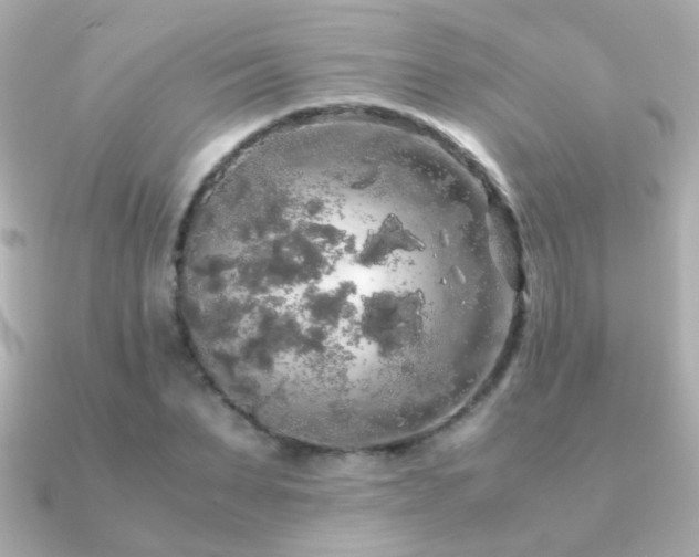 X0000091200879200708091305