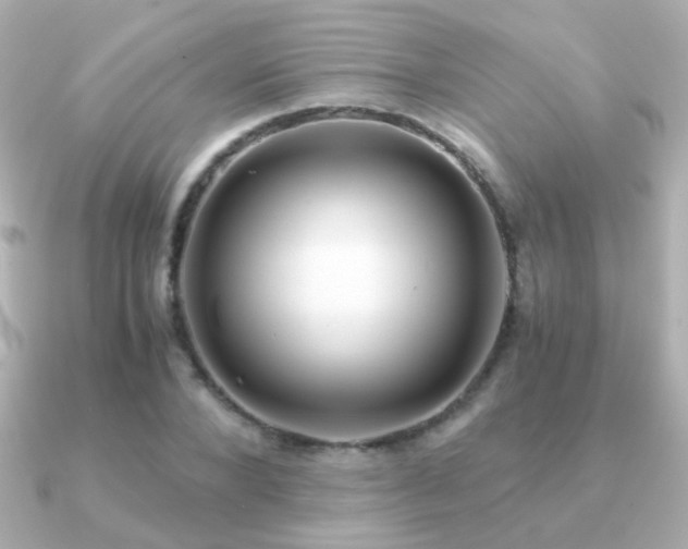 X0000091200880200708091305