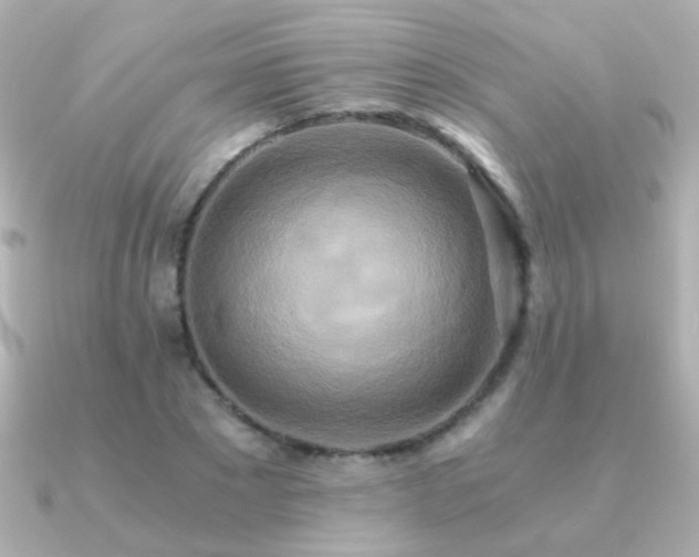 X0000091200881200708091305