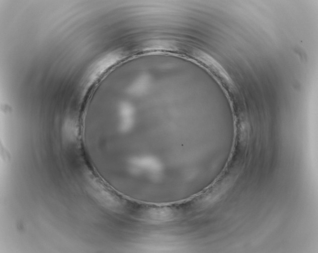 X0000091200882200708091305