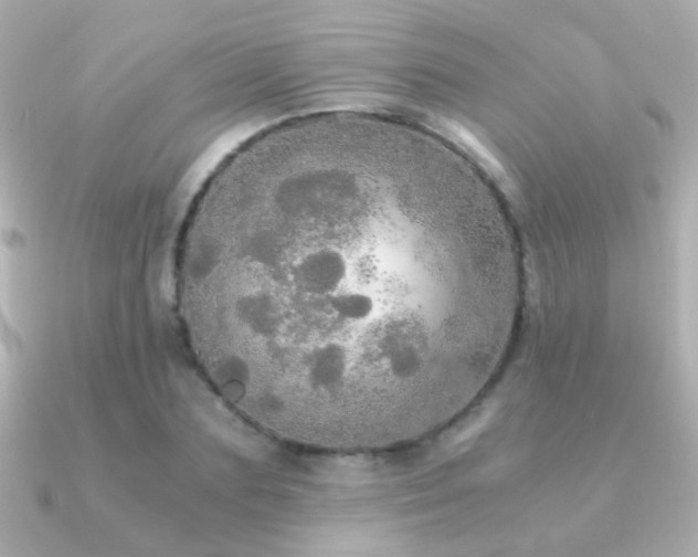 X0000091200883200708091305