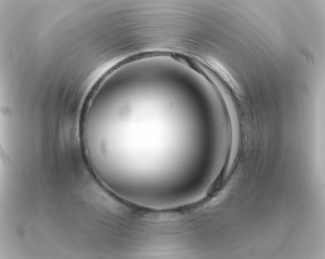 X0000091200884200708091305