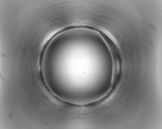 X0000091200885200708091305