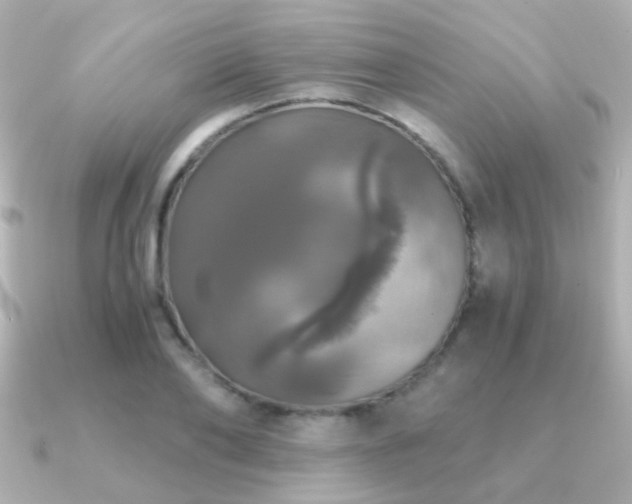 X0000091200886200708091305