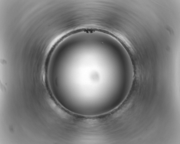 X0000091200888200708091305