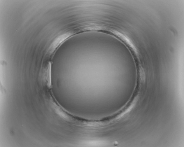 X0000091200889200708091305