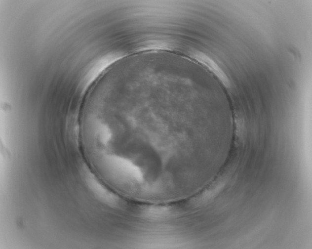 X0000091200890200708091305