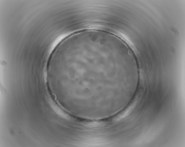X0000091200891200708091305