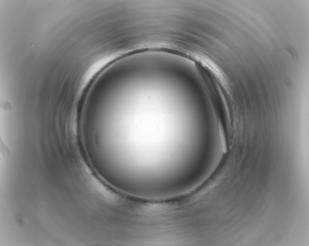 X0000091200894200708091305