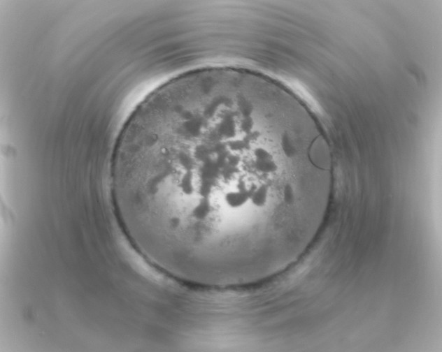 X0000091200895200708091305