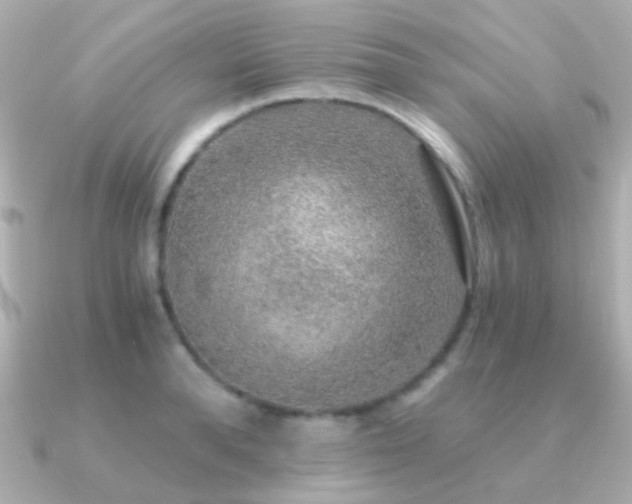 X0000091200896200708091305