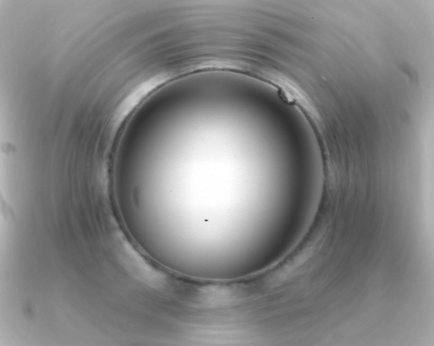 X0000091200898200708091305