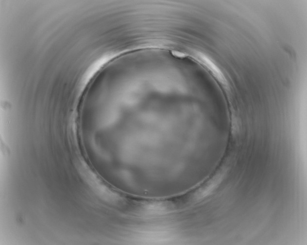 X0000091200899200708091305