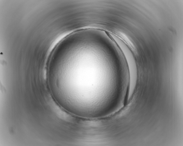 X0000091200900200708091305