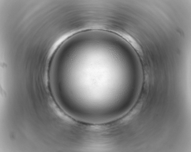X0000091200904200708091305
