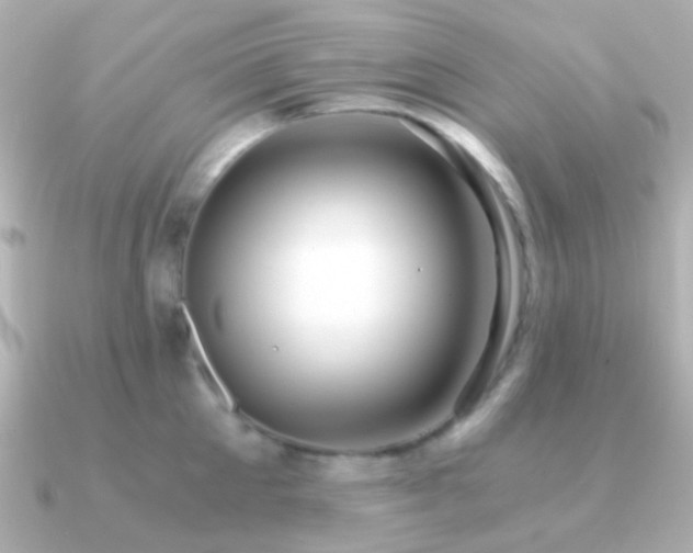 X0000091200905200708091305