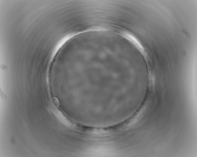 X0000091200907200708091305