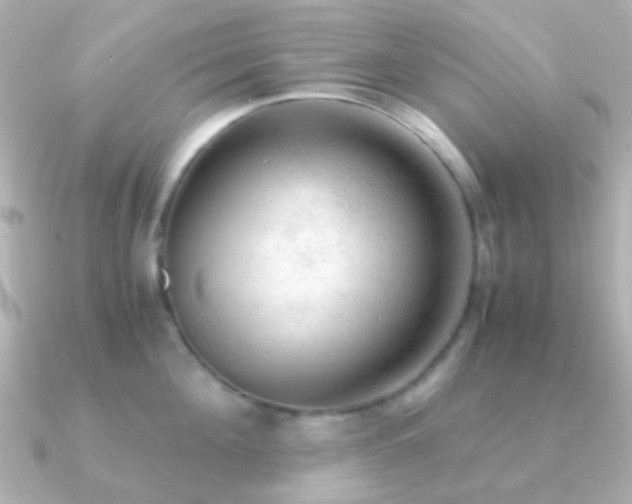 X0000091200908200708091305