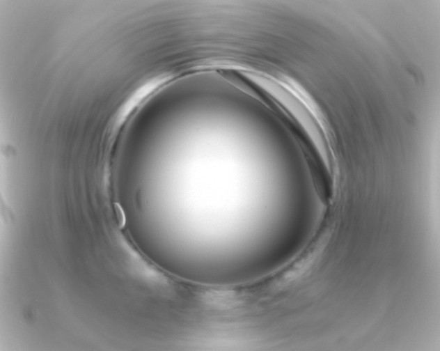 X0000091200909200708091305