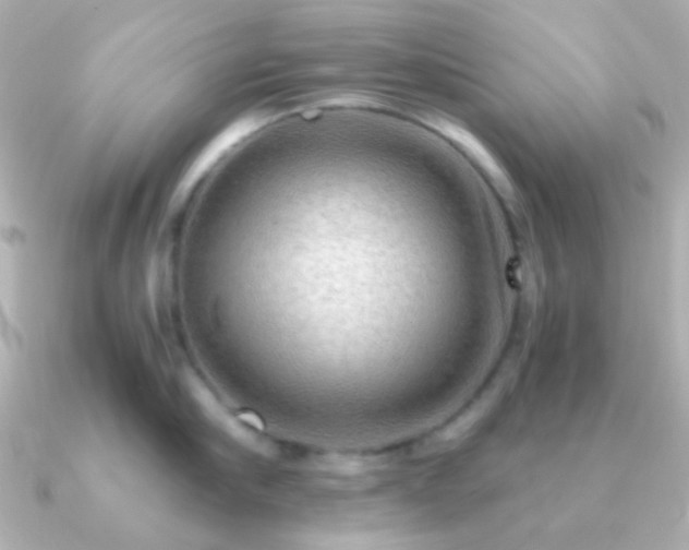 X0000091200910200708091305