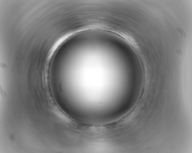 X0000091200912200708091305