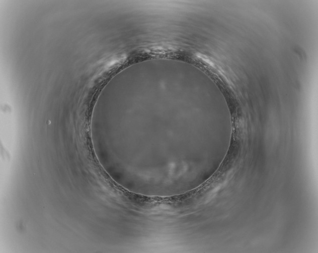 X0000091200913200708091304