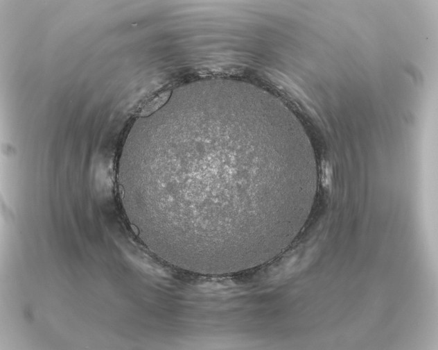 X0000091200915200708091304