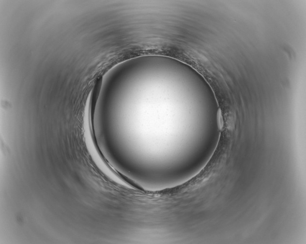 X0000091200916200708091304