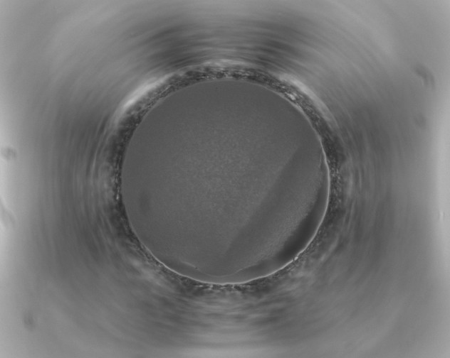 X0000091200919200708091304