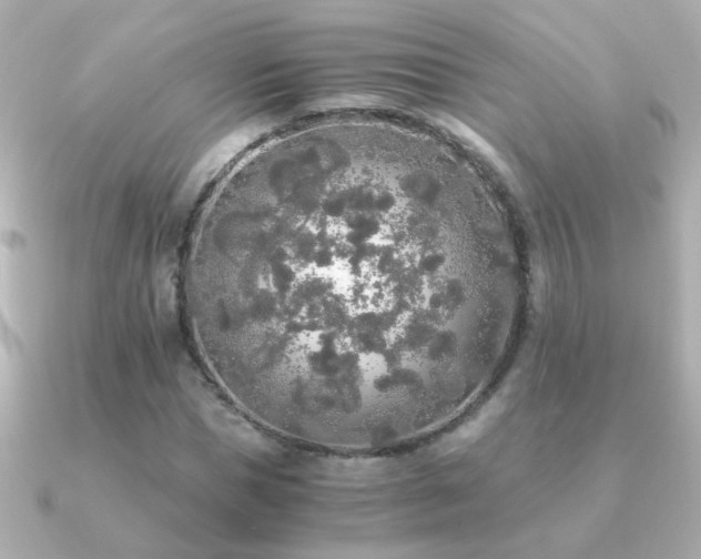 X0000091200921200708091304