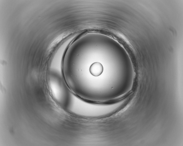 X0000091200922200708091304