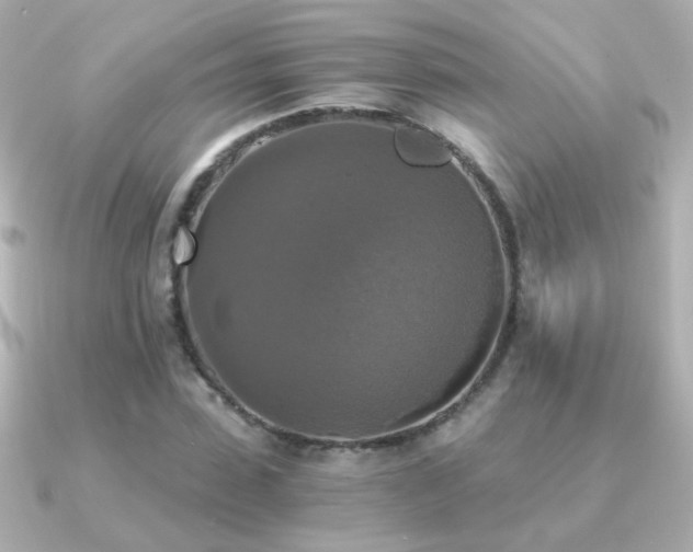 X0000091200923200708091304