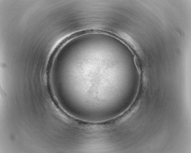 X0000091200924200708091304