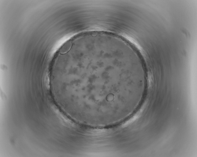 X0000091200925200708091304