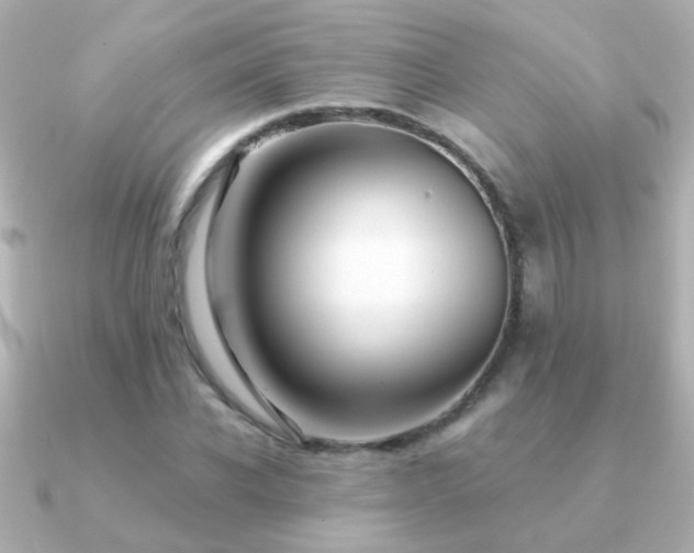 X0000091200926200708091304