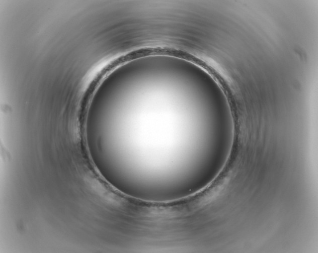X0000091200927200708091304