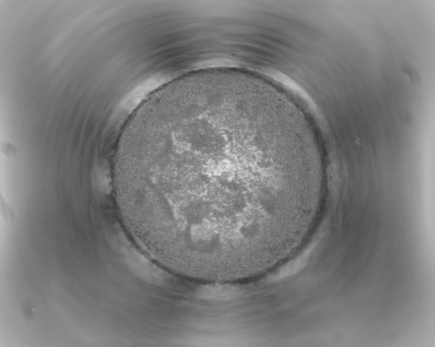 X0000091200929200708091304
