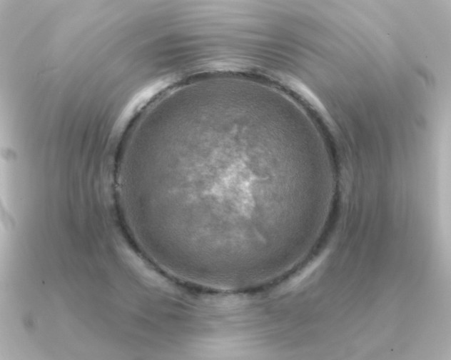 X0000091200930200708091304
