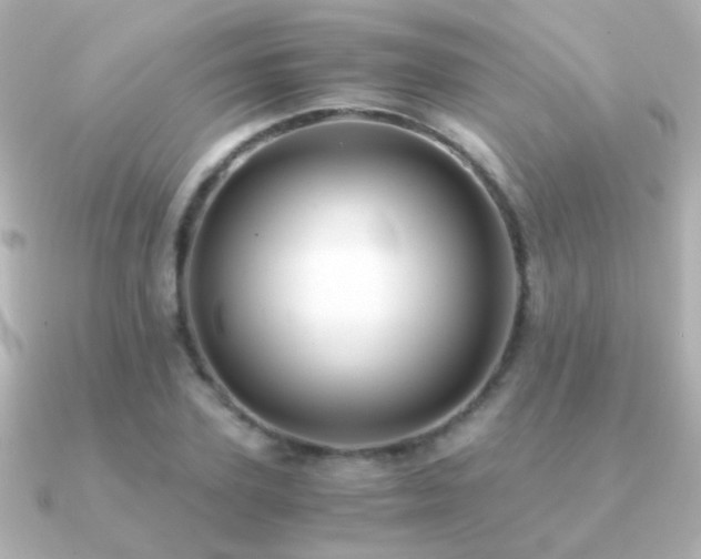 X0000091200931200708091304