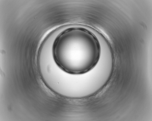 X0000091200932200708091304