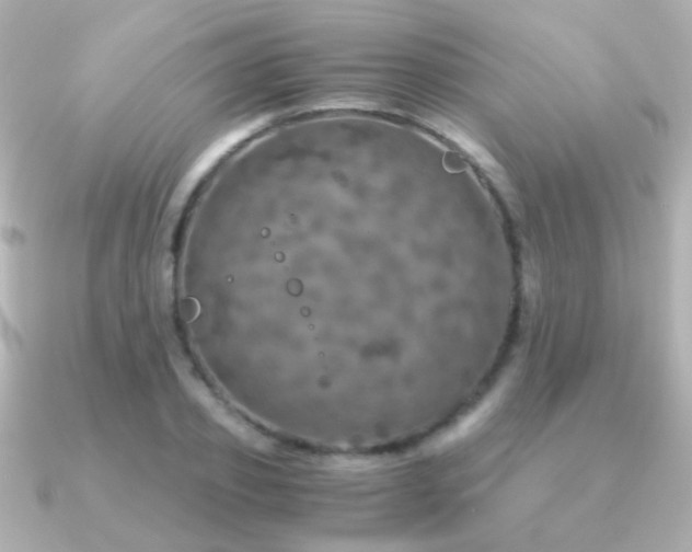 X0000091200933200708091304