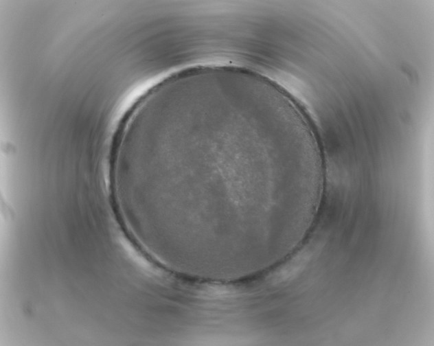 X0000091200935200708091304