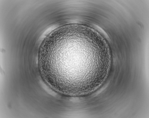 X0000091200938200708091304