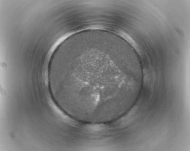 X0000091200939200708091304