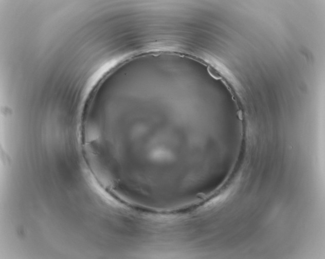 X0000091200941200708091304