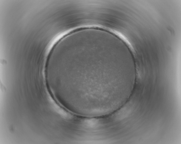 X0000091200943200708091304