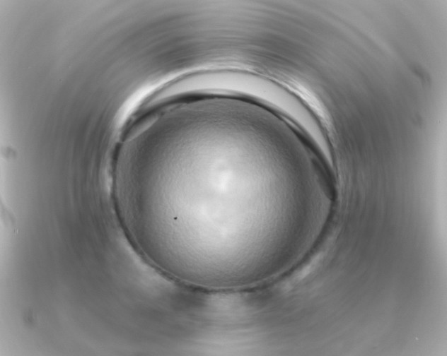 X0000091200944200708091304