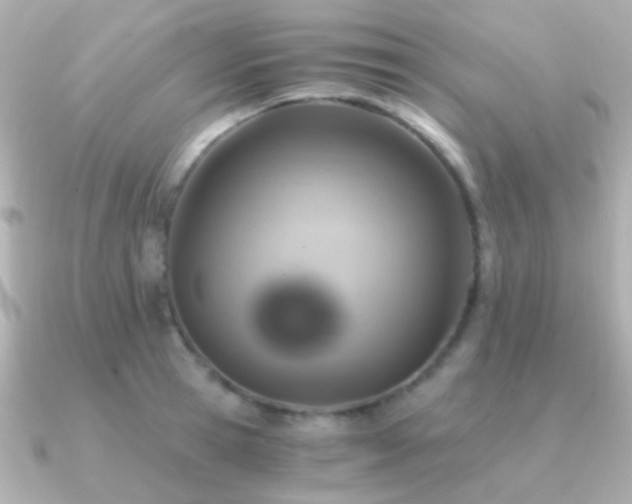 X0000091200945200708091304