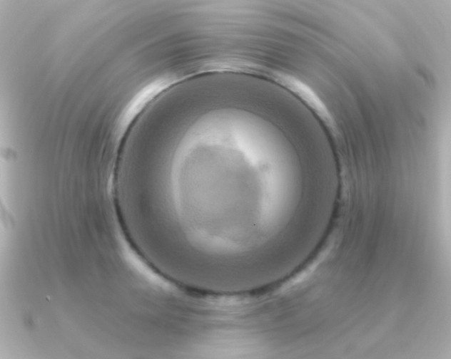 X0000091200946200708091304