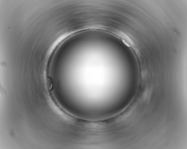 X0000091200947200708091304